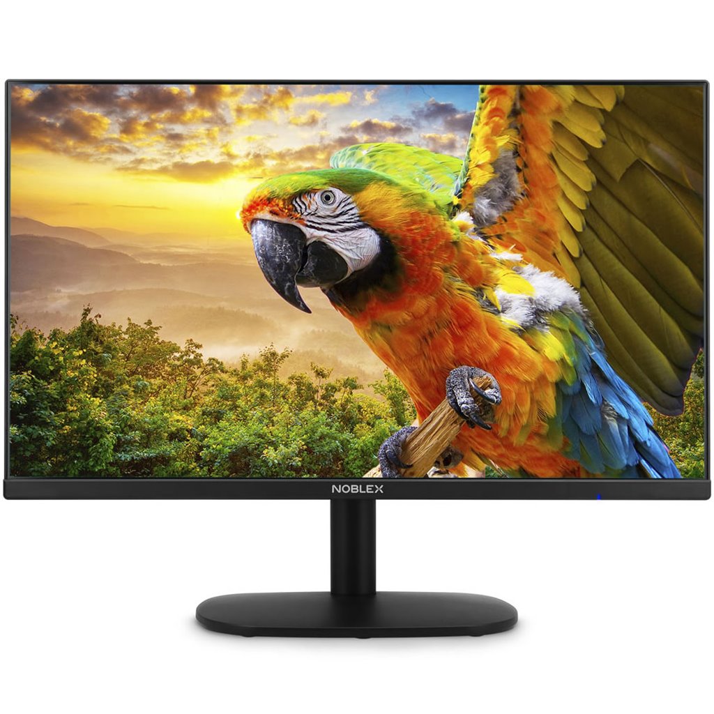 Monitor LED Noblex 24 MK24X7100 1