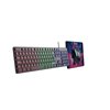 Kit Teclado y Mouse XTECH XTK-535S 2