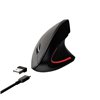 Mouse Netmak NM-ERGO 1