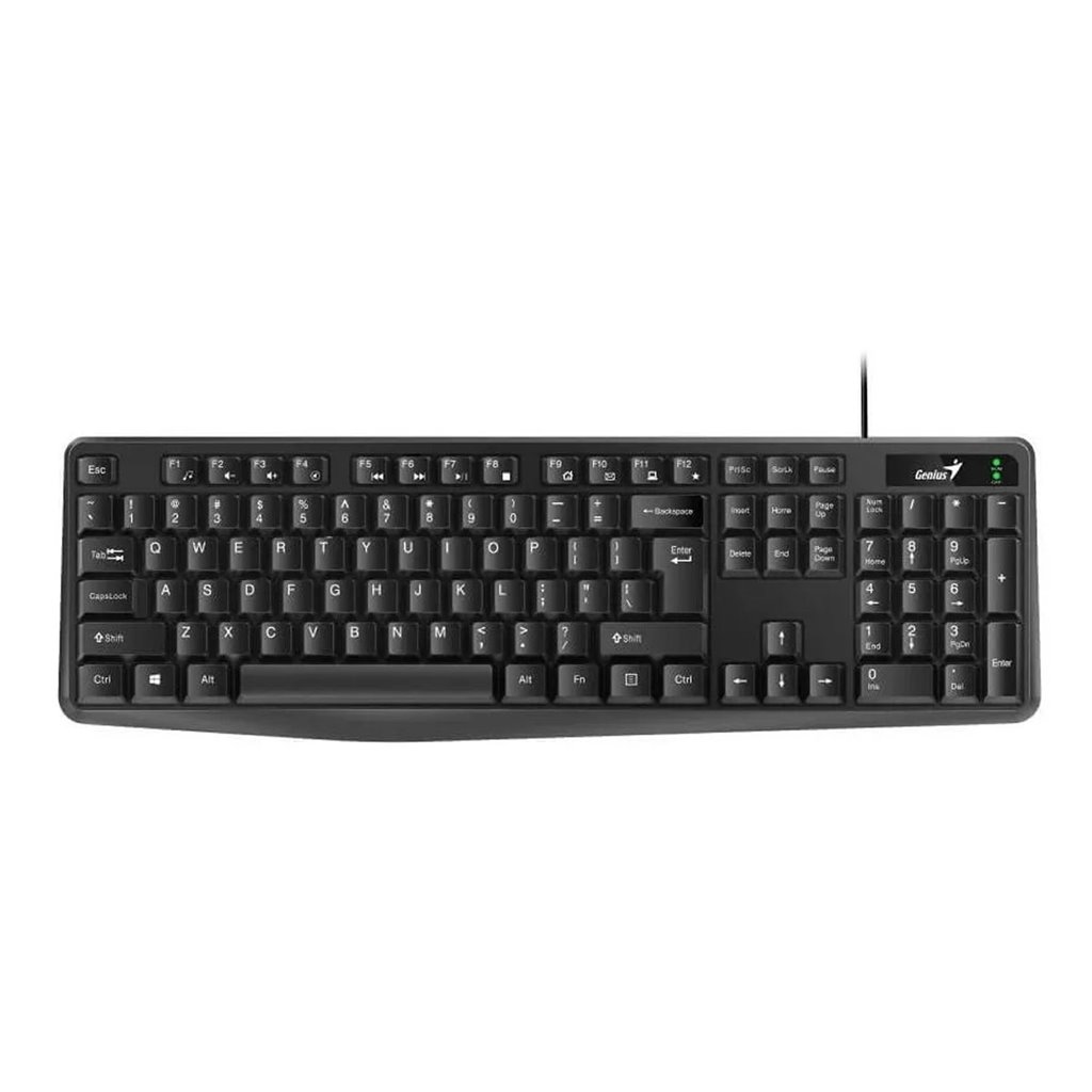 Teclado Genius KB-117 1